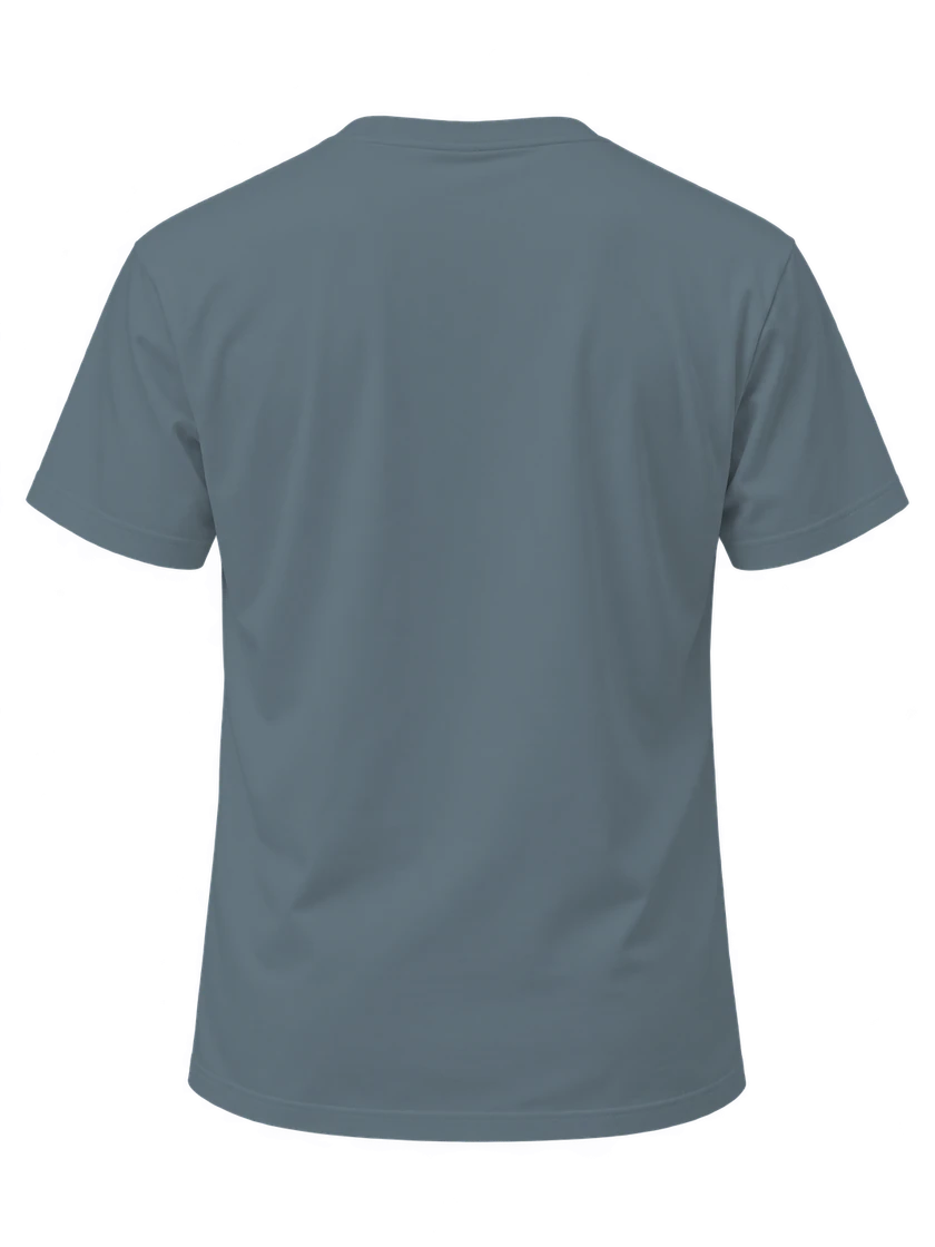 05 Slate Blue T-shirt back view